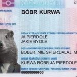 Бобр курва: мем, который покорил интернет